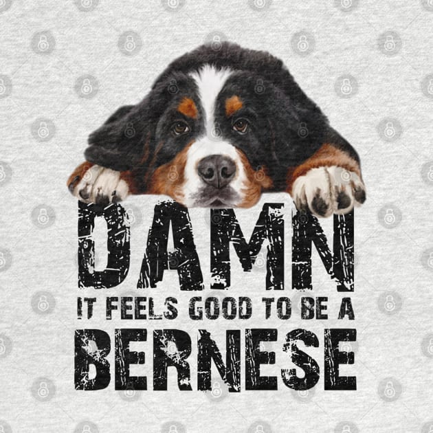 Bernese mountain dog by Bernesemountaindogstuff